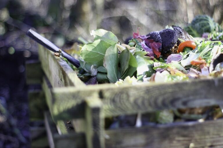 Compoteur en bois avec des épluchures et déchets organiques en décomposition